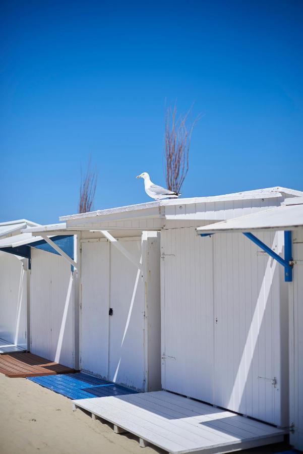 Molo Roof: Stylish Marina View Penthouse in Blankenberge Apartment Exterior photo